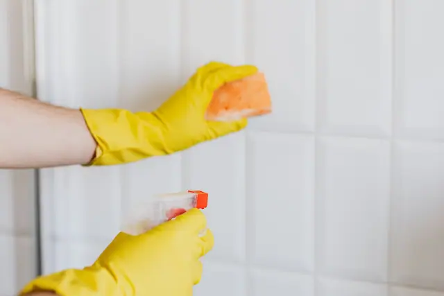 Parlaksa Ev Kireç Sökücü ve Banyo Temizleyici